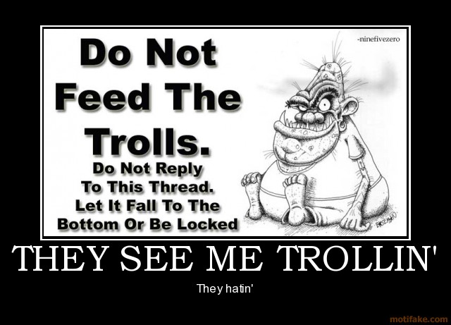 they-see-me-trollin-trollin-hatin-internet-troll-demotivational-poster-1284530427-jpg.png